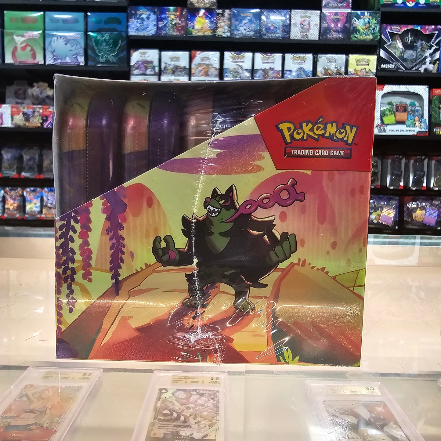 Pokemon:Scarlet & Violet: Shrouded Fable - Mini Tin Display